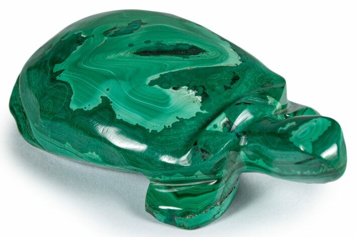 Flowery, Malachite Turtle Carving - DR Congo #337817